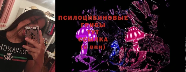 стаф Дмитров