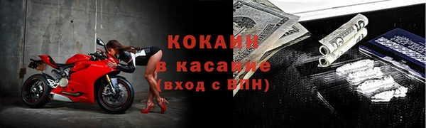 стаф Дмитров