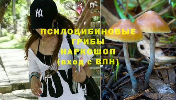 ГАЛЛЮЦИНОГЕННЫЕ ГРИБЫ Дмитровск