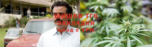 стаф Дмитров