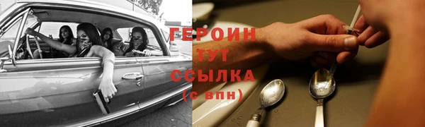 стаф Дмитров