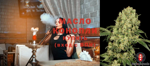 шишки Дмитриев