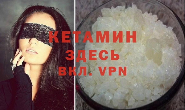 шишки Дмитриев