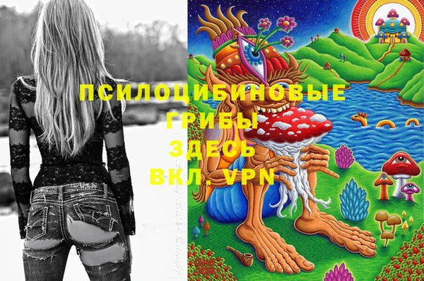 шишки Дмитриев