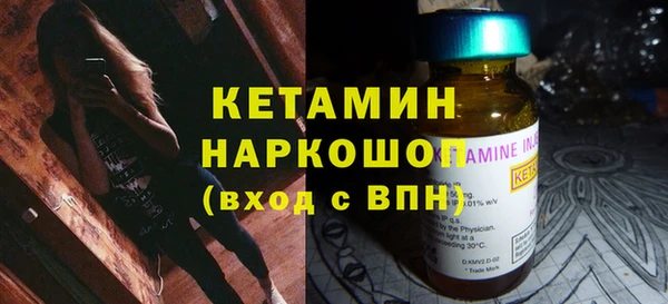 шишки Дмитриев