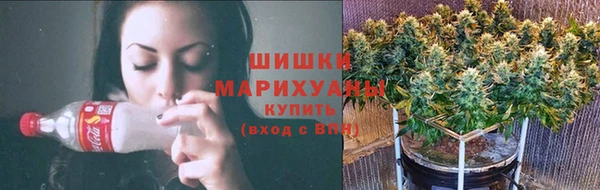 ГАЛЛЮЦИНОГЕННЫЕ ГРИБЫ Дмитровск
