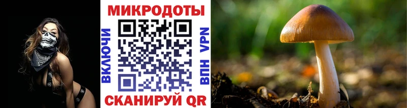Псилоцибиновые грибы Psilocybine cubensis  блэк спрут ONION  Зима 