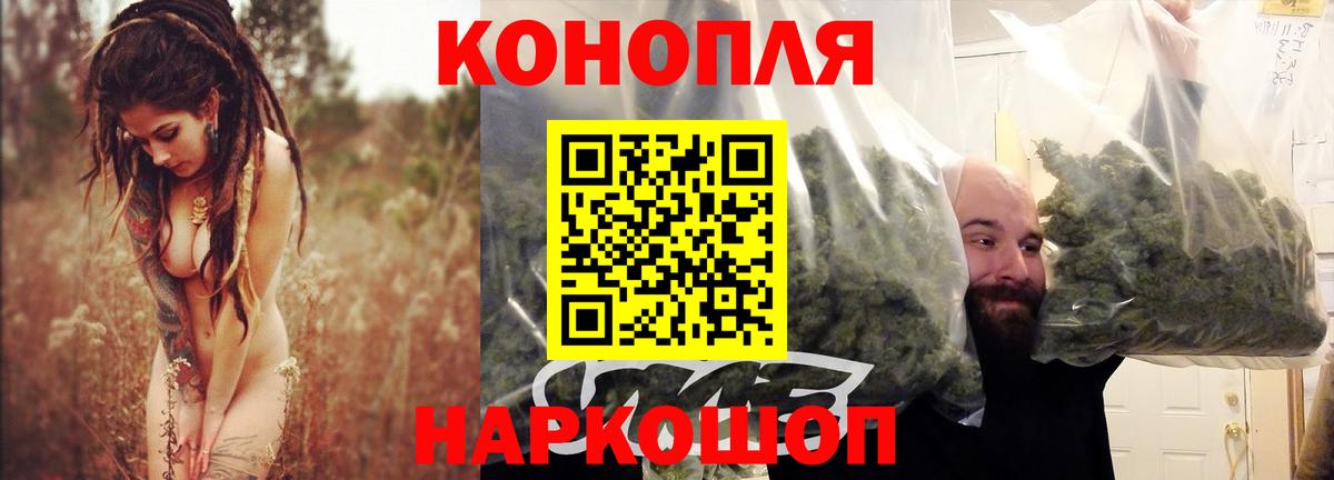 Галлюциногенные грибы Зима